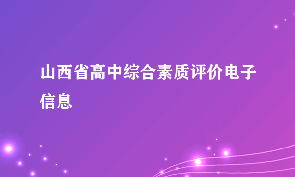 山西省高中综合素质评价电子信息