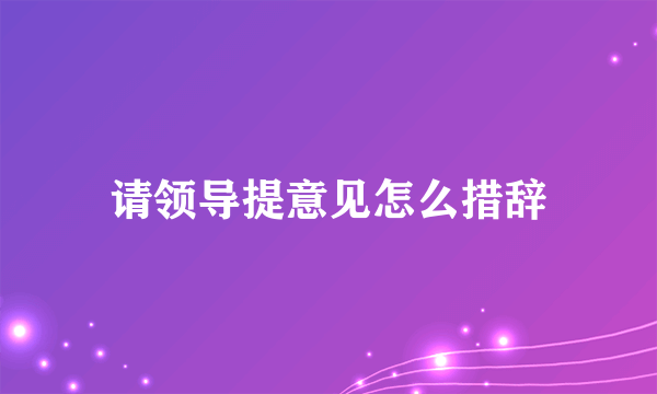 请领导提意见怎么措辞