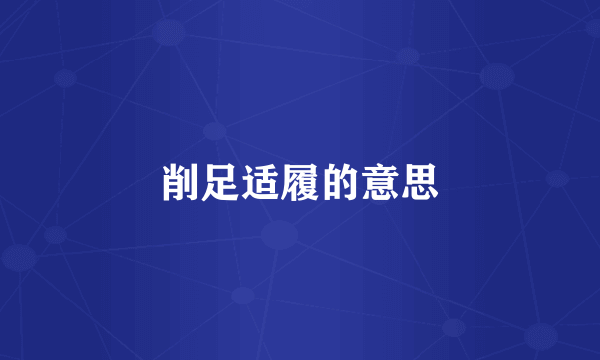 削足适履的意思