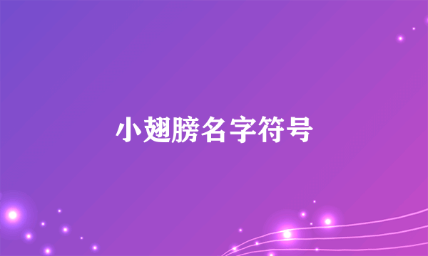 小翅膀名字符号