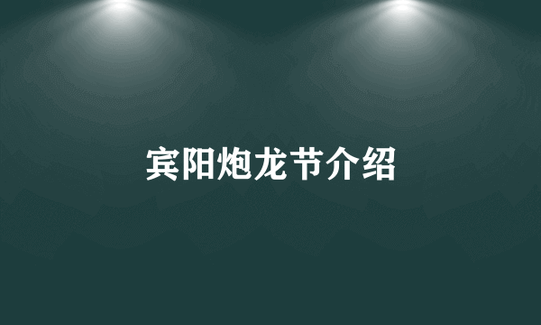 宾阳炮龙节介绍