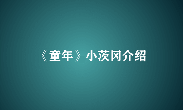《童年》小茨冈介绍