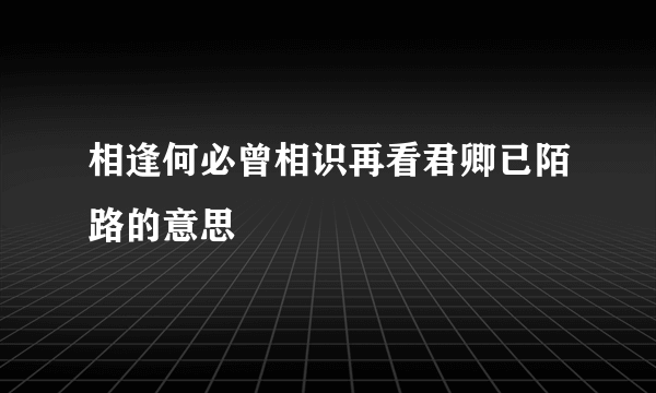 相逢何必曾相识再看君卿已陌路的意思