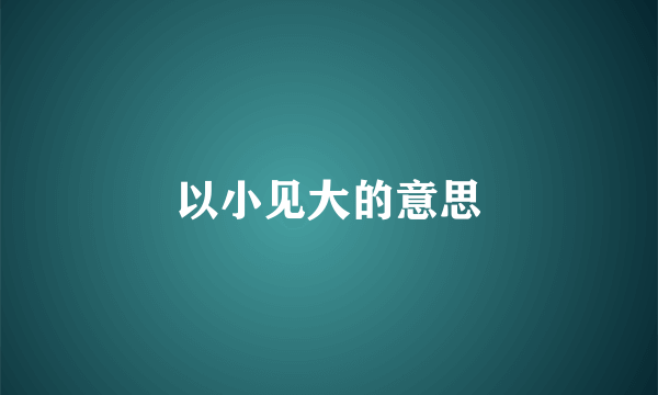 以小见大的意思