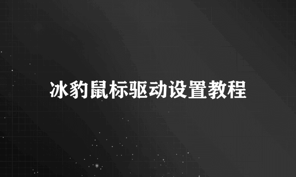 冰豹鼠标驱动设置教程