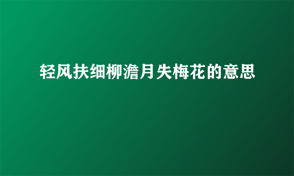 轻风扶细柳澹月失梅花的意思