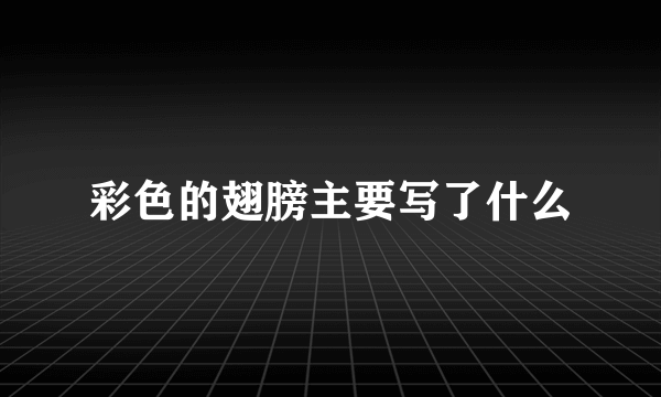 彩色的翅膀主要写了什么