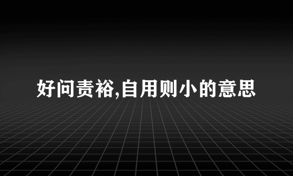 好问责裕,自用则小的意思