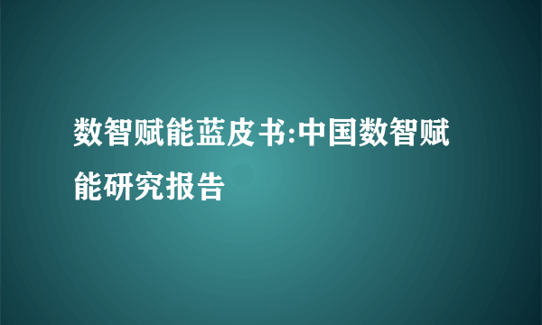 数智赋能蓝皮书:中国数智赋能研究报告