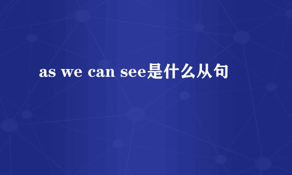 as we can see是什么从句