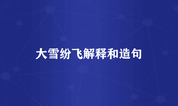 大雪纷飞解释和造句