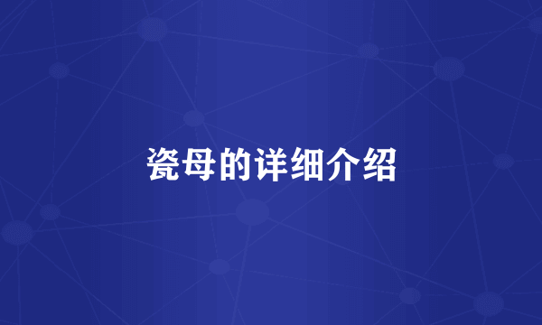 瓷母的详细介绍