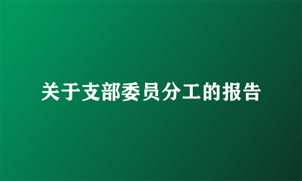 关于支部委员分工的报告