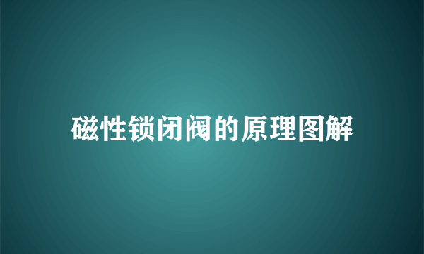 磁性锁闭阀的原理图解