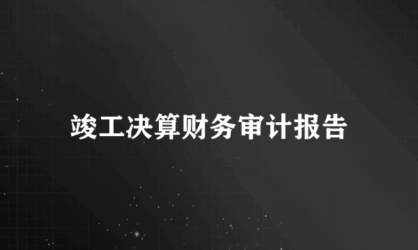 竣工决算财务审计报告