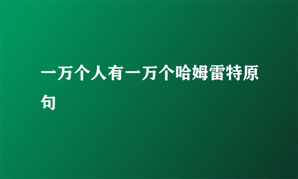 一万个人有一万个哈姆雷特原句