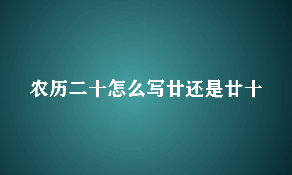 农历二十怎么写廿还是廿十