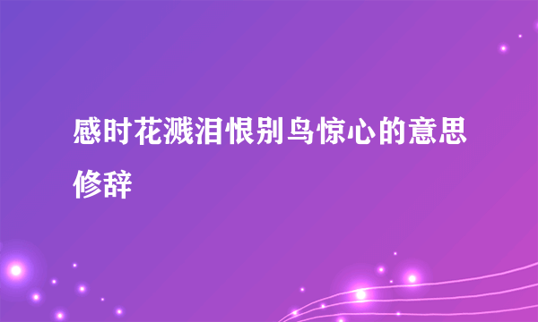 感时花溅泪恨别鸟惊心的意思修辞