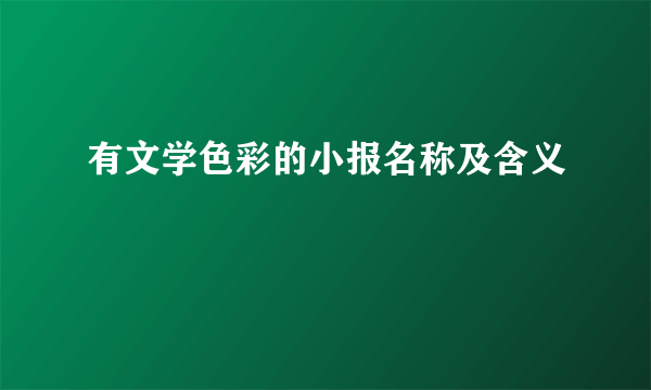 有文学色彩的小报名称及含义