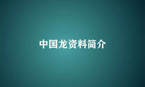 中国龙资料简介