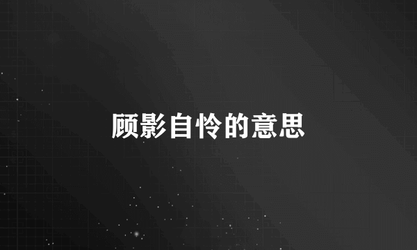 顾影自怜的意思