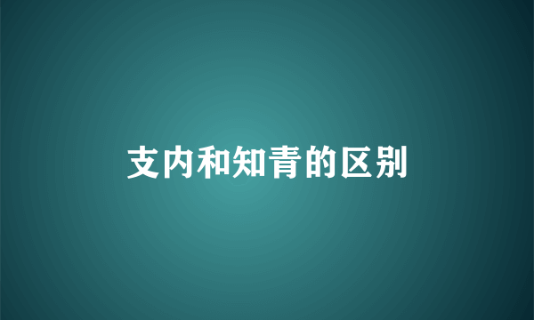 支内和知青的区别