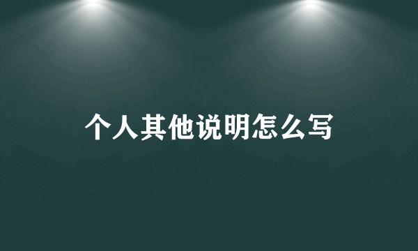 个人其他说明怎么写