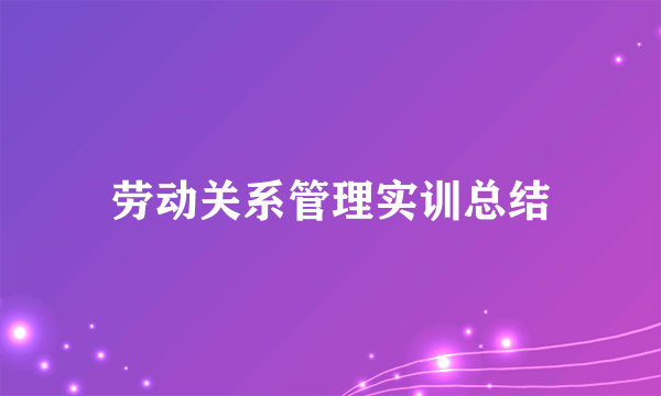 劳动关系管理实训总结