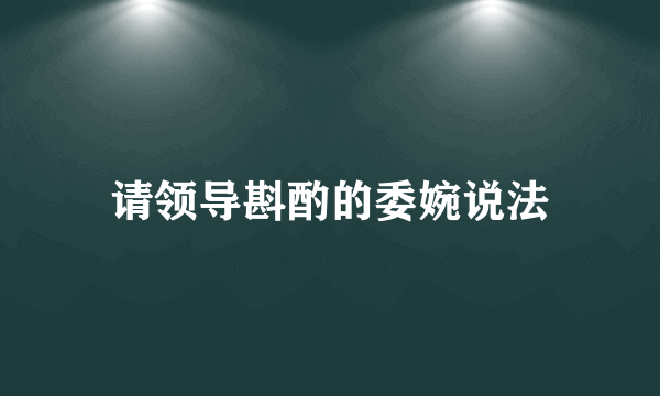 请领导斟酌的委婉说法
