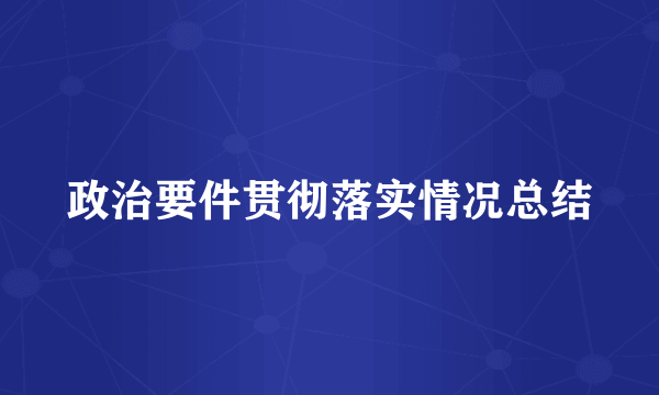 政治要件贯彻落实情况总结