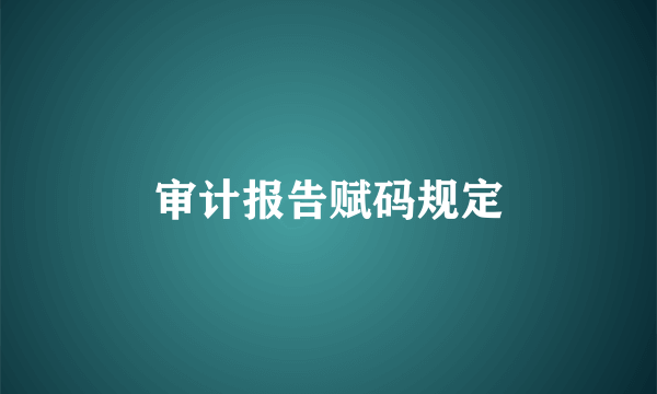 审计报告赋码规定