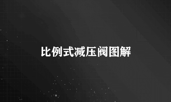 比例式减压阀图解