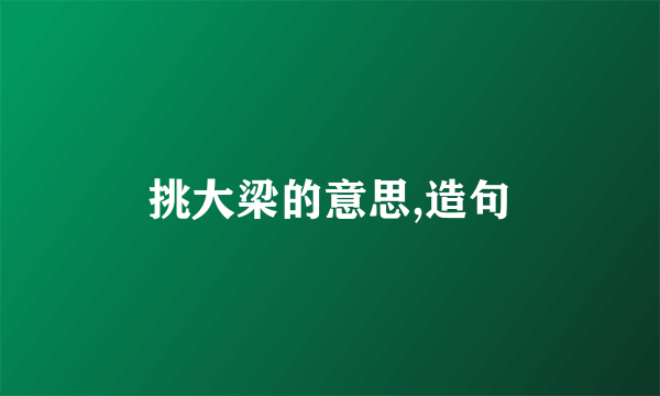 挑大梁的意思,造句