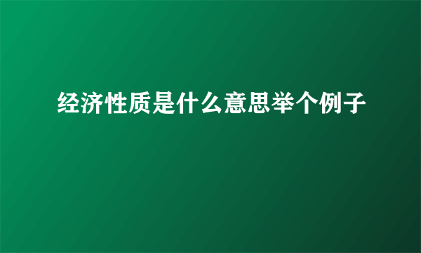 经济性质是什么意思举个例子
