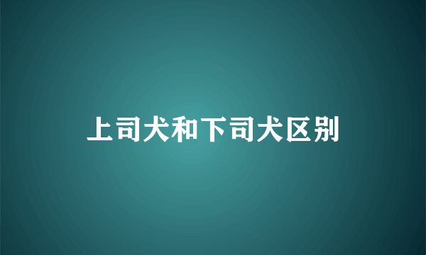 上司犬和下司犬区别
