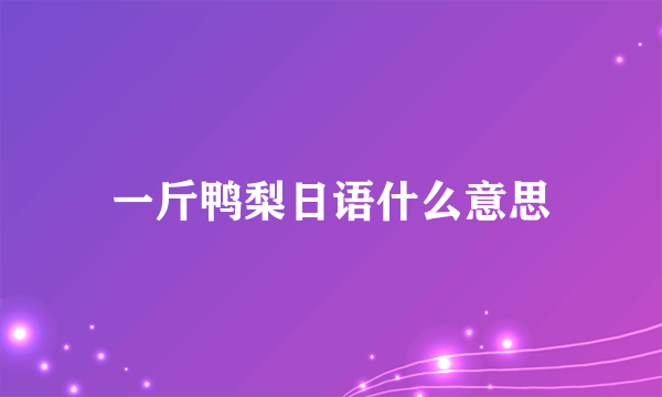 一斤鸭梨日语什么意思