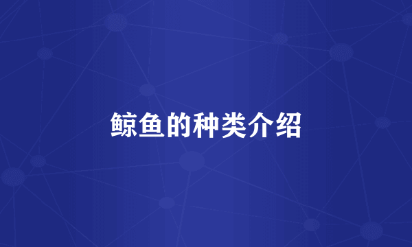 鲸鱼的种类介绍