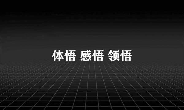 体悟 感悟 领悟