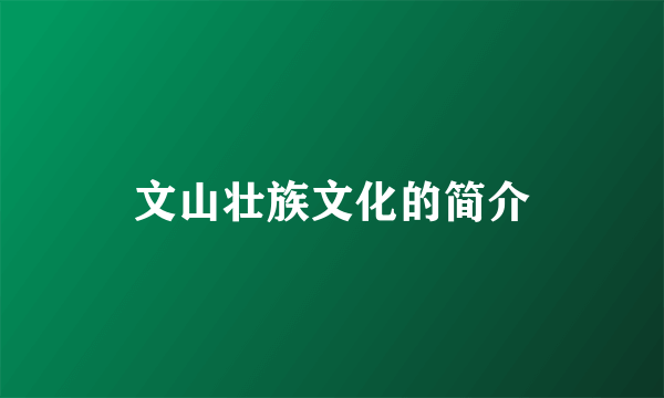 文山壮族文化的简介