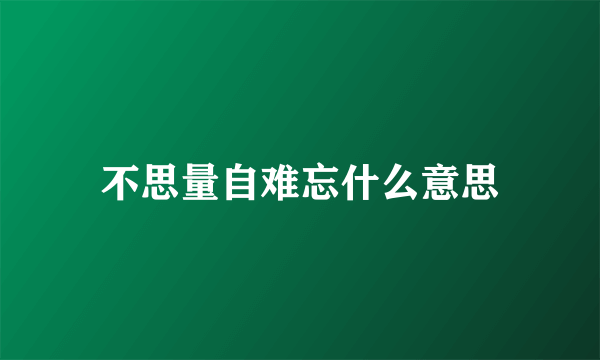 不思量自难忘什么意思