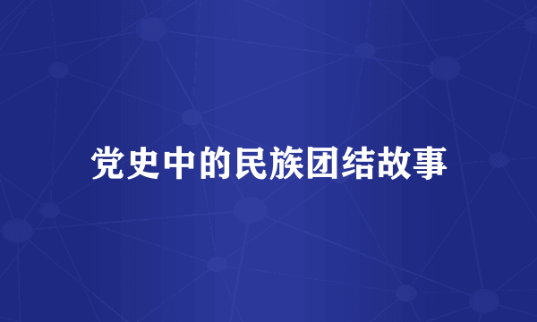 党史中的民族团结故事