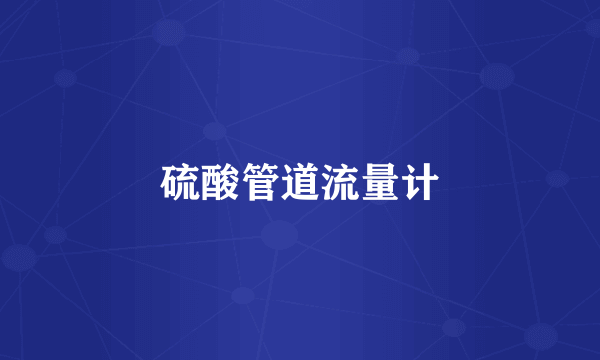 硫酸管道流量计