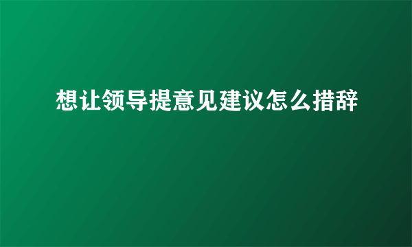想让领导提意见建议怎么措辞