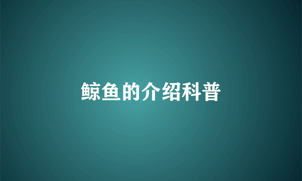 鲸鱼的介绍科普