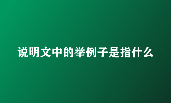 说明文中的举例子是指什么
