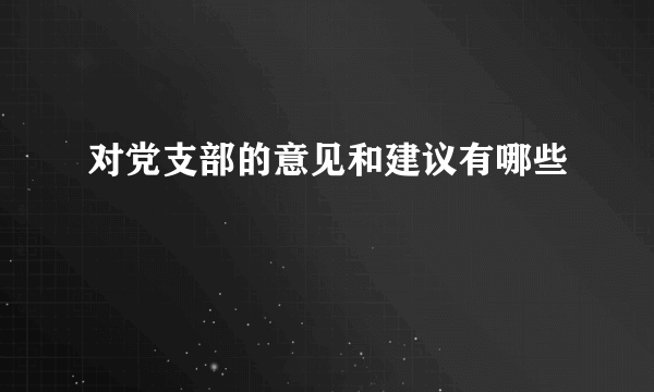 对党支部的意见和建议有哪些
