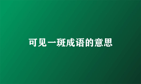 可见一斑成语的意思