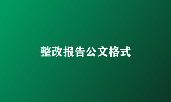 整改报告公文格式