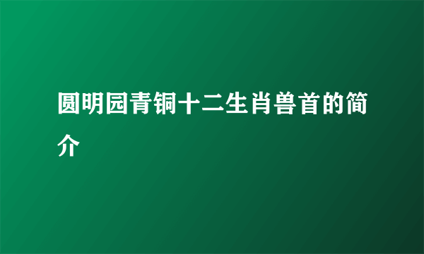 圆明园青铜十二生肖兽首的简介