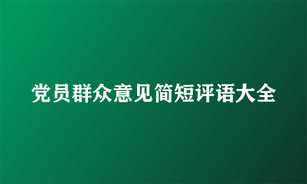 党员群众意见简短评语大全